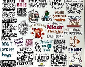 Funny Adulting Sticker Sheet Pack: Sarcastic Stickers (100 pc)