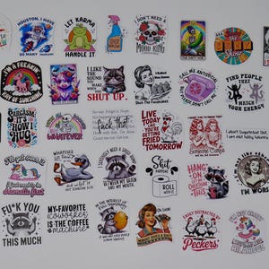 May include: A collection of 40 colourful stickers with humorous and sarcastic sayings. The stickers feature various designs, including animals, cartoon characters, and text-based designs. Some of the sayings include "I'm a Freakin' Day of Sunshine", "I Can't Brain Today", "Find People That Match Your Energy", and "I'm Worse".