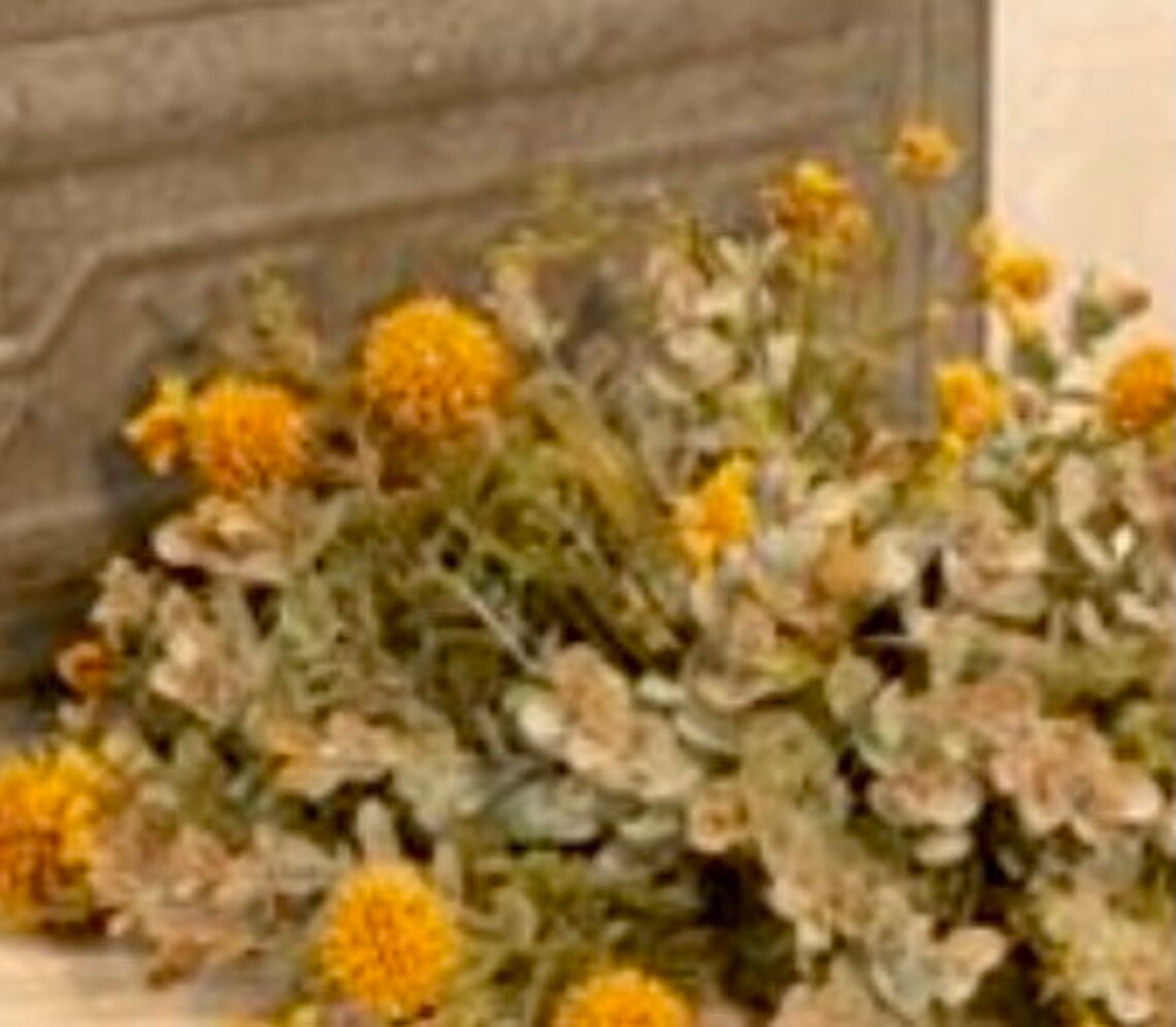 Floral Half Sphere 10 Set of Two Etsy