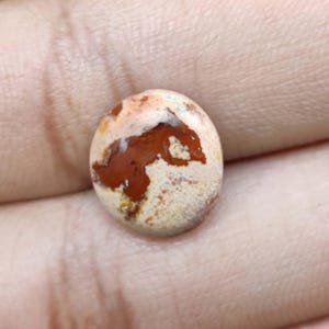 May include: A round, polished gemstone with a mix of colours. The stone features a base of cream and tan hues, with a prominent area of rich, reddish-brown coloration. The gemstone is smooth and appears to be a cabochon.