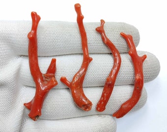 62 Carat 4 Piece Of Italian Coral Branch | Coral Stick | Red Coral | Coral Reef | Jewelry Making. CR-38