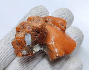 Big Size Vintage Natural Italian Coral Rough, Antique Coral Reef, Mediterranean Sea Red Coral.