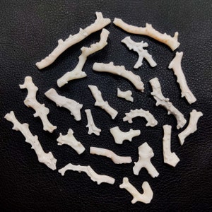 May include: A collection of white coral branches, arranged in a circular pattern on a black background. The coral branches are various sizes and shapes, with some having a slightly pink hue.