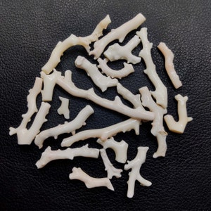 May include: A collection of white coral branches, some with a slight pink hue, arranged on a black surface. The coral pieces are of varying sizes and shapes, with some having a more intricate branching pattern than others.