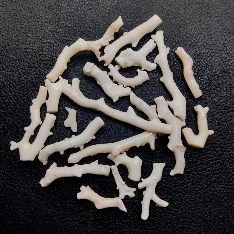 May include: A collection of white coral branches, some with a slight pink hue, arranged on a black surface. The coral pieces are of varying sizes and shapes, with some having a more intricate branching pattern than others.