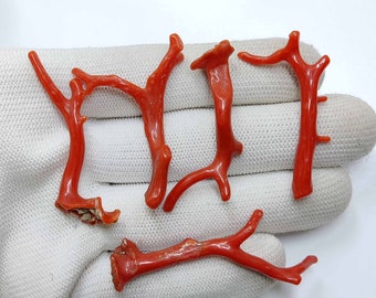 65 Carat 5 Piece Of Italian Coral Branch | Coral Stick | Red Coral | Coral Reef | Jewelry Making. CR-27