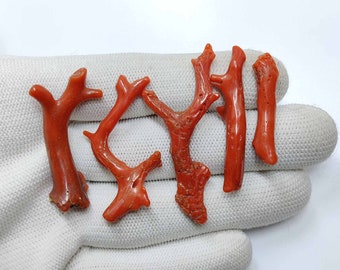 76.5 Carat 5 Piece Of Italian Coral Branch | Coral Stick | Red Coral | Coral Reef | Jewelry Making.CR-14