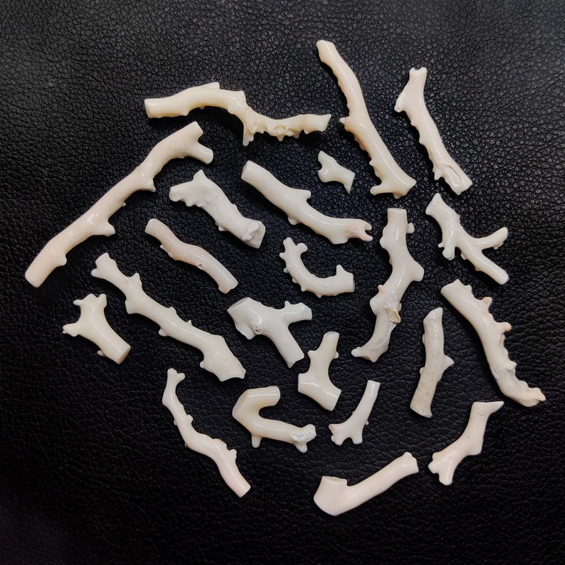 May include: A collection of white coral branches on a black background. The coral is smooth and has a natural, organic shape.