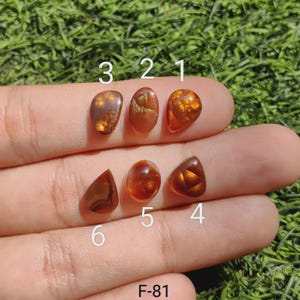 May include: A hand displays six polished, brown gemstones of varying shapes, including teardrop, oval, and triangular. The gemstones have a translucent appearance with internal patterns. The text "F-81" is visible at the bottom.