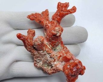 Big Size Vintage Natural Italian Coral Rough, Tree Shape Antique Coral Reef, Mediterranean Sea Red Coral.