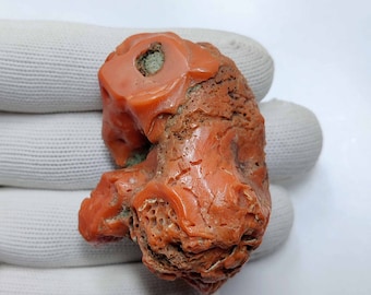 Big Size Vintage Natural Italian Coral Rough, Antique Coral Reef, Mediterranean Sea Red Coral.