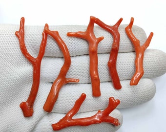 89 Carat 6 Piece Of Italian Coral Branch | Coral Stick | Red Coral | Coral Reef | Jewelry Making.CR-02