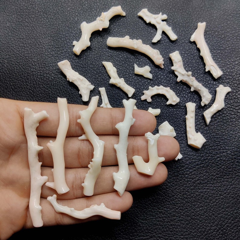 May include: A collection of white coral branches, some with a slight pink hue, arranged on a black surface. The coral branches are of varying sizes and shapes, with some being more intricate than others.