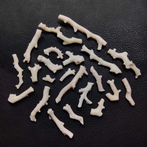 May include: A collection of 20 white coral branches on a black background. The coral branches are of varying sizes and shapes, with some having small branches off the main branch.