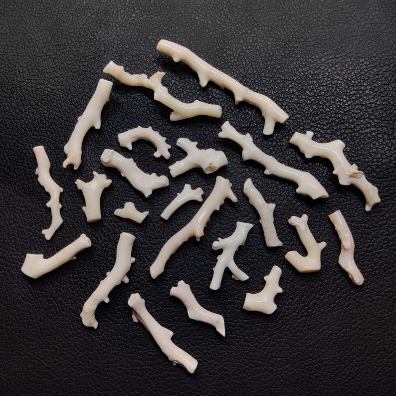 May include: A collection of 20 white coral branches on a black background. The coral branches are of varying sizes and shapes, with some having small branches off the main branch.