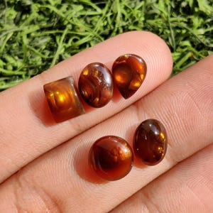 May include: Several polished gemstones in different shapes, including oval, teardrop, and round. The stones are a warm brown colour with internal patterns and a glossy finish. The gemstones are displayed on a light skin tone.
