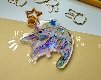 Acrylic Shrimp Keychain | Holo Acrylic Shrimp Keychain, Holographic Keychain, Funny Shrimp Keychain, Cute Shrimp Acrylic Keychain