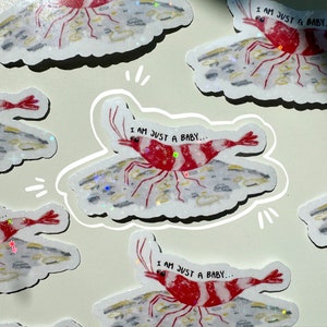 Puede incluir: Un conjunto de ocho pegatinas con una gamba de dibujos animados con rayas rojas y blancas. Cada pegatina tiene un fondo blanco y el texto "Soy solo un bebé..." impreso en ella.