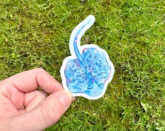 Manta Ray Sticker | Holographic Ray Sticker | Under The Sea Creature Sticker