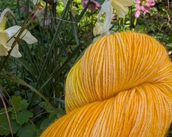 DAFFODIL - Hand Dyed Yarn