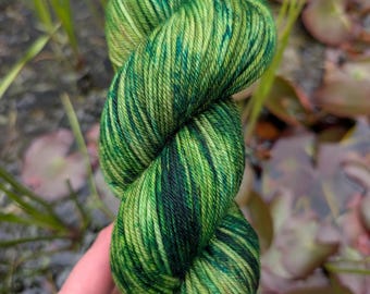 On Amphibian Watch - Hand Dyed Yarn