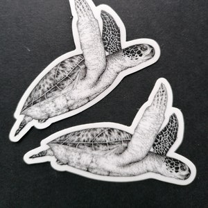 SEA TURTLE STICKER - Meeresbiologie Illustration - für Meeresliebhaber und Taucher