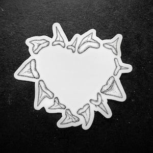 AUTOCOLLANT DENTS DE REQUIN - Autocollant de biodiversité de requins - résistant à l'eau - illustration de biologie marine - pour les amoureux de l'océan et les plongeurs