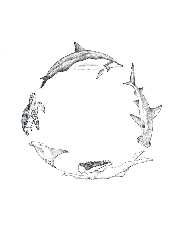 manta tiburón Ofertas Online, 2024