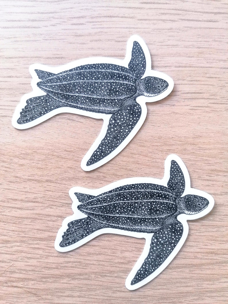 Leatherette Sticker Leatherback Sea Turtle Sticker - Weatherproof Marine Art - Etsy