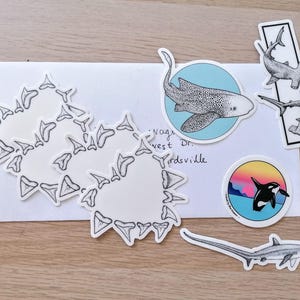 May include: A collection of marine-themed stickers, including shark teeth, a spotted ray in a blue circle, hammerhead sharks, an orca whale with a sunset background, and a long-tailed shark. The stickers are on a white envelope.