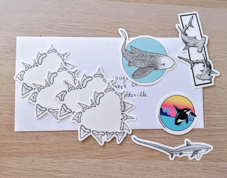 May include: A collection of marine-themed stickers, including shark teeth, a spotted ray in a blue circle, hammerhead sharks, an orca whale with a sunset background, and a long-tailed shark. The stickers are on a white envelope.