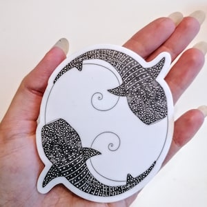 PEGATINA TIBURONES BALLENA - Adhesivo marino, calcomanía para computadora portátil - resistente al agua y a los rayos UV - Ilustración de biología marina - para amantes del océano y buceadores