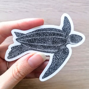 SEA TURTLE STICKER - Sticker tortue luth - Design unique - Illustration de biologie marine - pour les amoureux de l'océan et les plongeurs