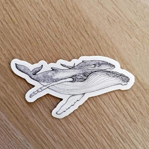 Humpback Whale and Calf Sticker - Water Resistant Marine Art