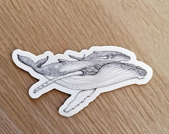 Pode incluir: Um desenho a preto e branco de uma baleia corcunda e seu filhote. A baleia está nadando com a boca aberta, e o filhote está nadando ao seu lado. O desenho está sobre um fundo branco.