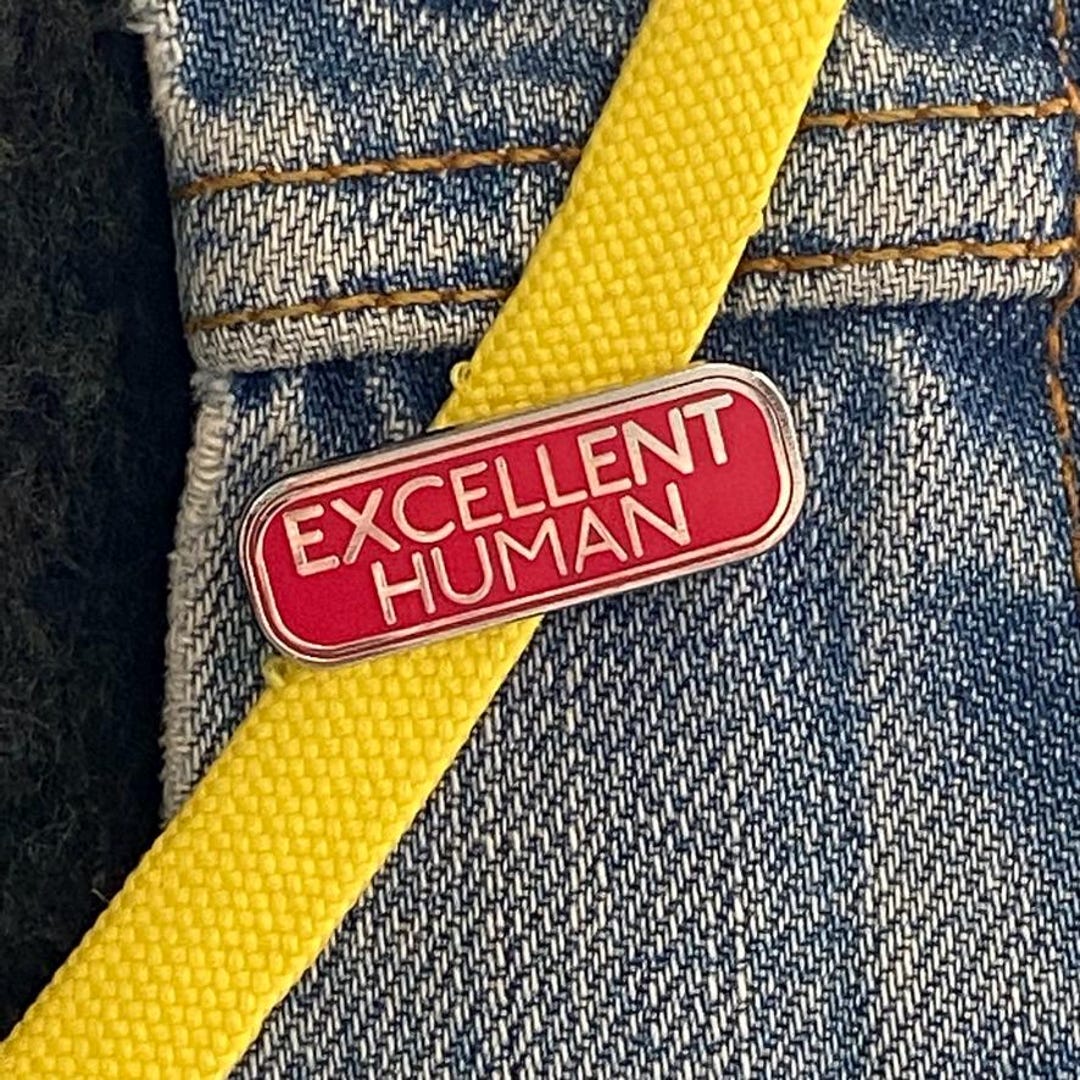 Excelent Pin I Am an Excellent Human Enamel Pin, Badge, Brooch | Funny Quality Pin ...
