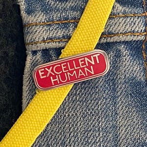 Eu sou um excelente ser humano Pin de esmalte, distintivo, broche | Pin engraçado de qualidade para minha melhor amiga | Presente para melhor amiga | Presente para professor | Presente para enfermeira