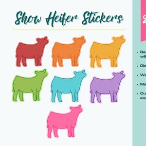 Livestock Animal Stickers | Show Animal Cattle | Vinyl Sticker | Matte Sticker | Waterproof Sticker | Cattle Sticker