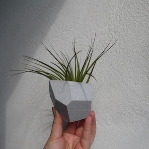 MAGNETIC Any Colour Mini Pot - Fridge Plant Pot - Plant based - 3D Printed - Air plant - New Home - Eco - Succulent Planter - Modern