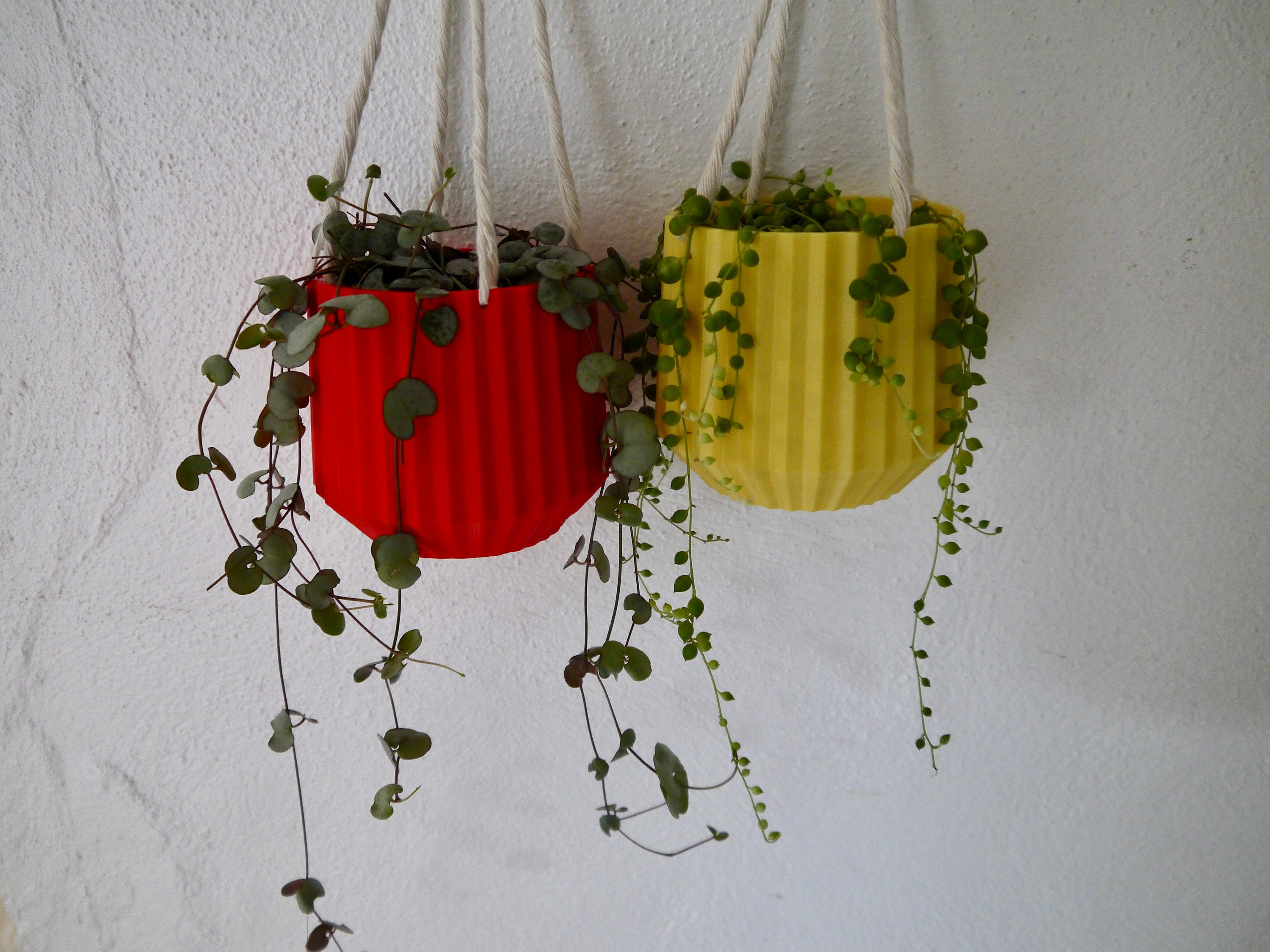 Hanging Plant Pot Plant Based Plastic SEVERAL COLOURS 3D Etsy