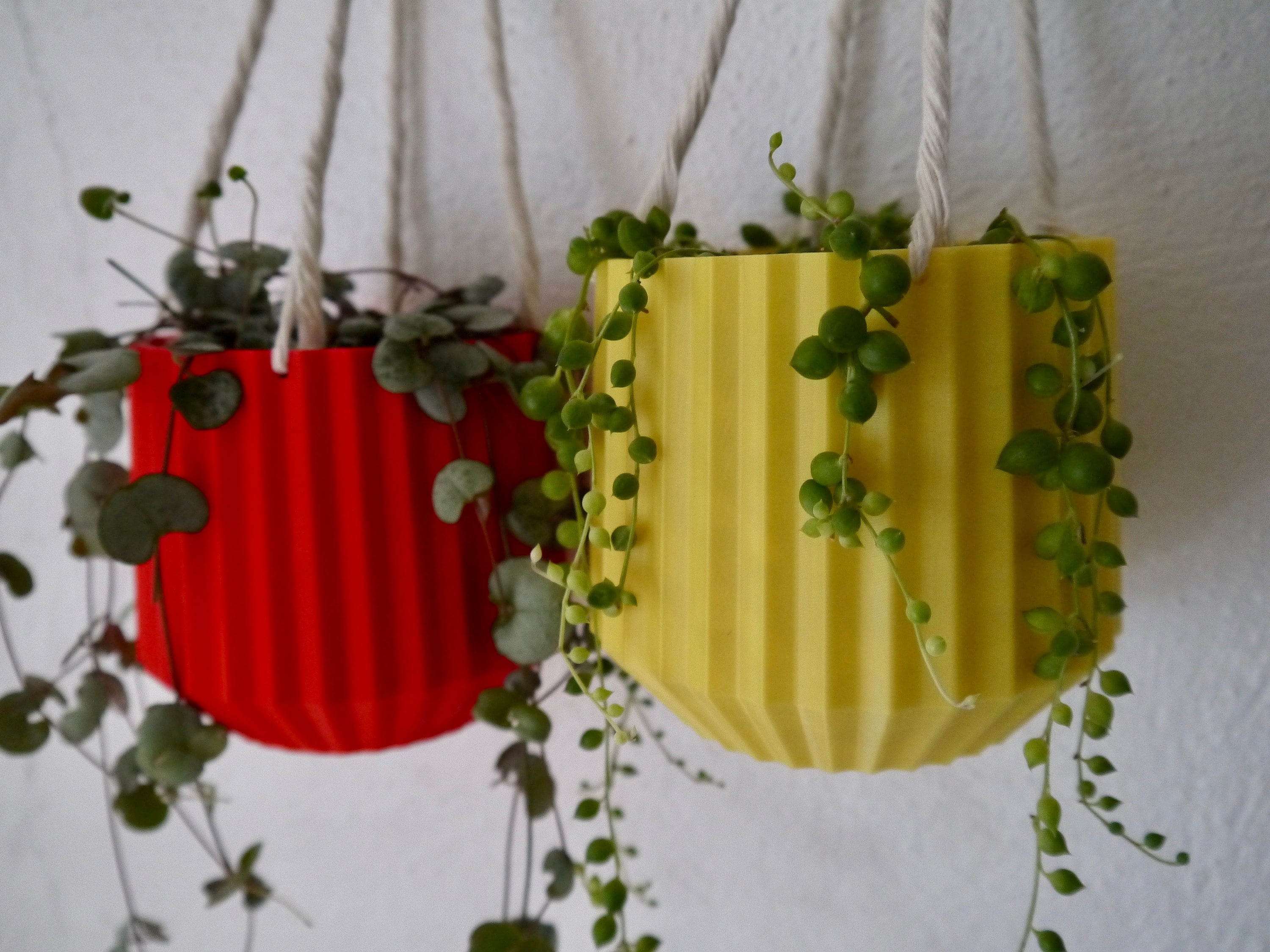 Hanging Plant Pot Plant Based Plastic SEVERAL COLOURS 3D Etsy