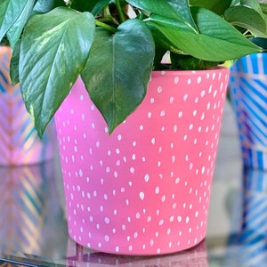 May include: A pink ceramic plant pot with white polka dots, holding a green leafy plant. The pot is cylindrical and has a slightly flared rim. Other decorative pots are visible in the background.