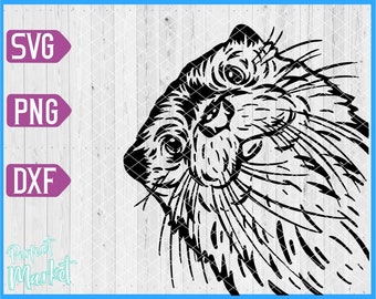 Download Otter Svg Etsy