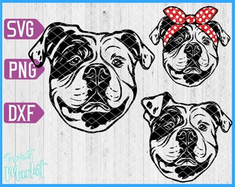 Download American Bulldog Svg Etsy