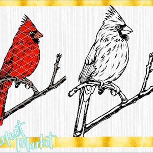 Kardinal SVG, Kardinal Vogel, Vogel, Kardinal geschichtet, Kardinal Clipart, Kardinal geschnitten Dateien,
