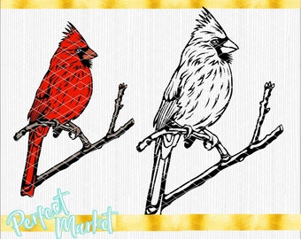 Cardinal Svg, Cardinal Bird Svg,Bird Svg, Cardinal Layered Svg, Cardinal Clipart,Cardinal Cut Files,
