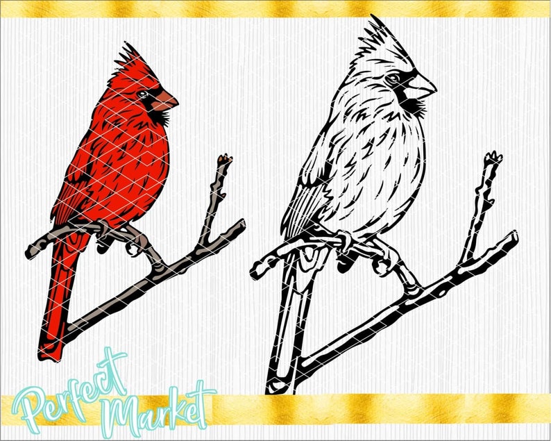May include: A red cardinal bird perched on a branch with a black outline. The bird is facing to the right and has a black eye. The branch has two offshoots. A white cardinal bird with a black outline is perched on the same branch, facing to the right. The bird has a black eye. The branch has two offshoots.