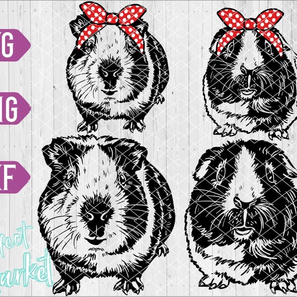 Guinea Pig Svg files for Cricut,Guinea Pig Vector,Guinea Pig download,Guinea Pig shirt svg,Guinea Pig cut file,Guinea Pig Clipart,