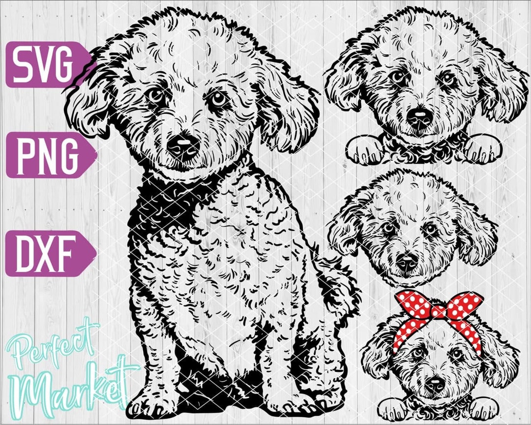 Bichon Frise Printable,bichon Frise Svg,dog Svg,cute Puppy Face Breed ...
