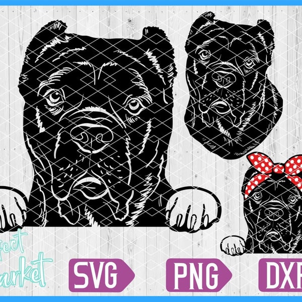 Cane Corso svg, Hund Gesicht Vektor, Cane Corso Clipart, Cane Corso Download svg, Hund svg Datei für Cricut, spähen Hund, Dogge Kunst svg,